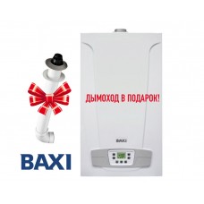 Газовый котел Baxi ECO 4S 24F  (двухконтурный котел, закрытая камера)